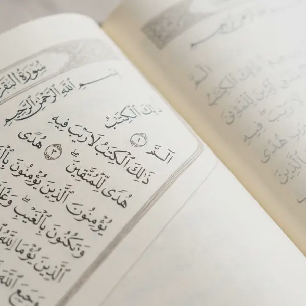 ✓ المصحف المظلل بخط اليد مثالي للكتابة وتعلم نص القرآن